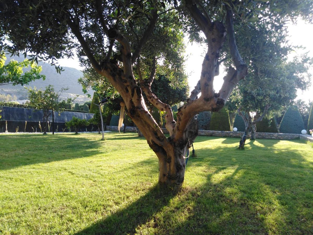 Golden Crest Villa Hersonissos  Eksteriør billede