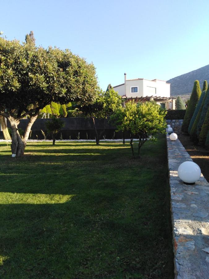 Golden Crest Villa Hersonissos  Eksteriør billede